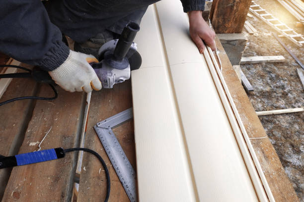 Best Siding Painting and Refinishing  in Columbus, NM